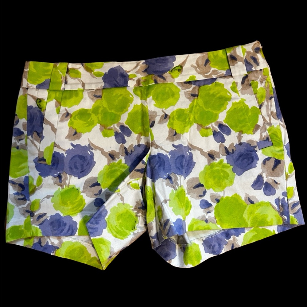 2070 JCrew Stretch Water Color Shorts